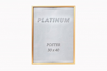 Ф/рамка PLATINUM POSTER 30x40 алюминий (AL-02-T Золотой) /9