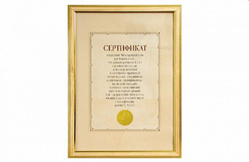 Рамка MPA-certif/p 21/29.7 Prstn/С-Жл (5041-A4B) (