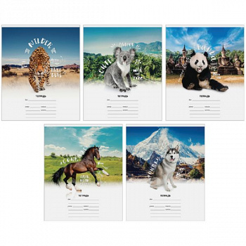 Тетрадь 12л. линия "Природа. Beautiful and Wild"Т12л_14288Спейс
