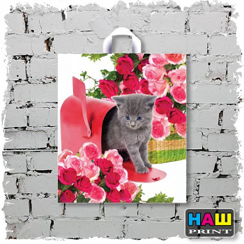 Пакет с петлевой ручкой ПНД, 42х38см, "Мурзик", 37мкм, шк41879