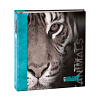 Image Art SA-50RB-Р/23*28 серия 265 (8/256)