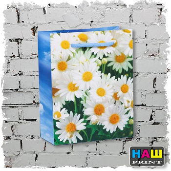 Пакет ламинированный вертикальный «Ромашки полевые», ML 23 × 27 × 8 см2779101