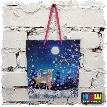 Пакет подарочный "В гостях у Деда Мороза", 20 х 24 х10,2 см 38220643822064