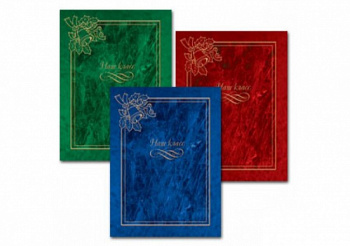 Ф/а SA-10-P/23*28 (12) Наш класс